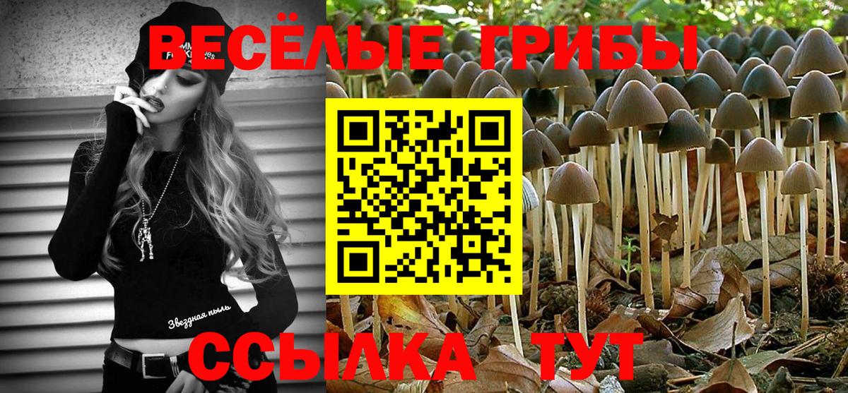 Гагарин  Псилоцибиновые грибы Magic Shrooms  Вход с VPN 