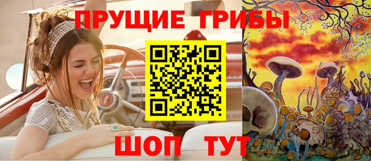 Псилоцибиновые грибы Psilocybe Гагарин